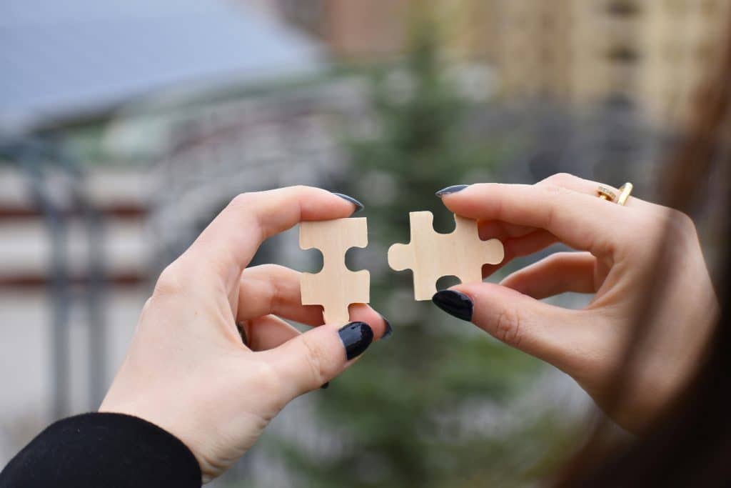 person holding two puzzle peices